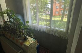 Apartament 2 camere, parter, 48mp, zona Dambu