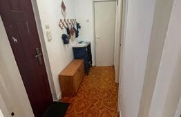 Apartament 2 camere, parter, 48mp, zona Dambu