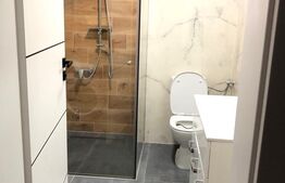 Apartament 1 camera, 40MP, ultramodern, Livezeni