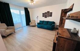 Apartament 1 camera, 40MP, ultramodern, Livezeni