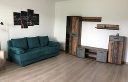 Apartament 1 camera, 40MP, ultramodern, Livezeni