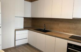 Apartament 1 camera, 40MP, ultramodern, Livezeni