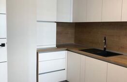 Apartament 1 camera, 40MP, ultramodern, Livezeni