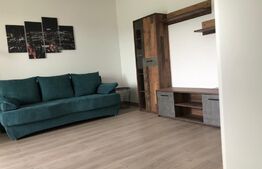Apartament 1 camera, 40MP, ultramodern, Livezeni