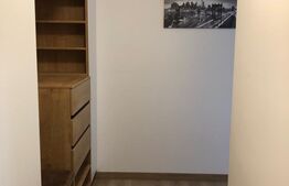 Apartament 1 camera, 40MP, ultramodern, Livezeni