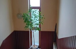 Casa cu 3 camere,200 mp utili,260 mp teren,Platou