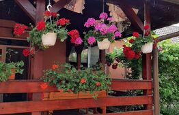 Casa 4 camere, 175 mp, Unirii