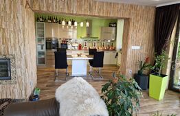 Casa 3 camere, 400mp, Unirii