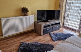 Casa 3 camere, 400mp, Unirii