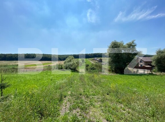 Teren de vânzare Budiu Mic - 118694TV | BLITZ Târgu Mureș | Poza2