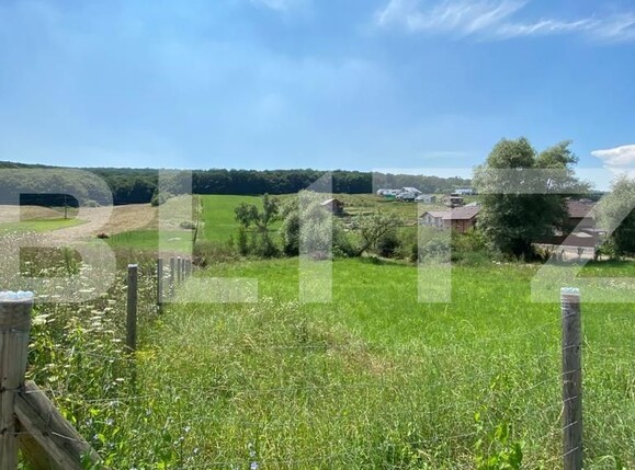 Teren de vânzare Budiu Mic - 118694TV | BLITZ Târgu Mureș | Poza3