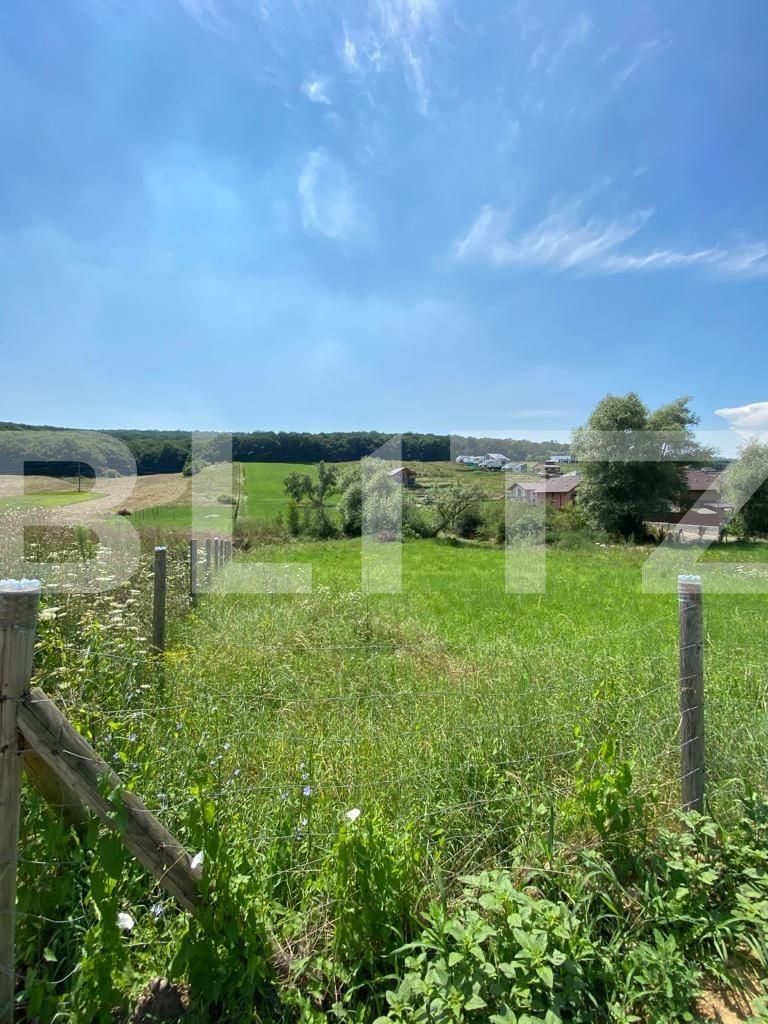 Teren de vânzare Budiu Mic - 118694TV | BLITZ Târgu Mureș | Poza3