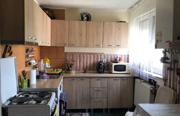 Apartament 2 camere, 56MP, Rovinari 