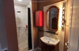 Casa 4 camere, 120mp, 2 bai, 2 bucătării, Dambu