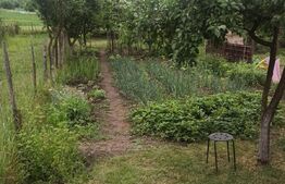 Casa cu 2 camere, 52mp, zona Remetea