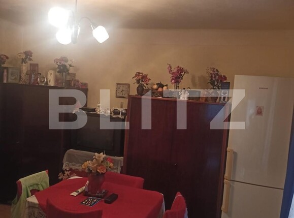 Casa de vânzare 2 camere Remetea - 118828CV | BLITZ Târgu Mureș | Poza13