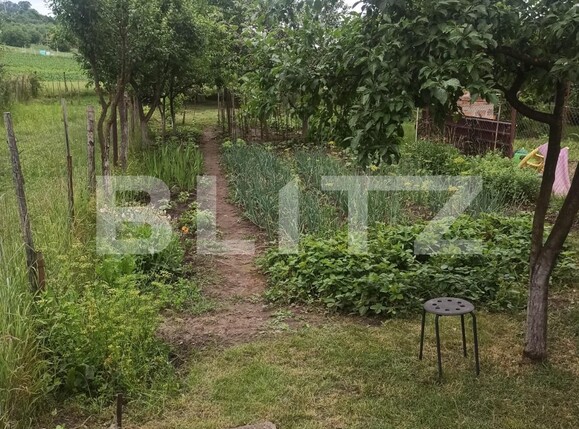 Casa de vânzare 2 camere Remetea - 118828CV | BLITZ Târgu Mureș | Poza2