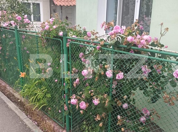 Casa de vânzare 2 camere Remetea - 118828CV | BLITZ Târgu Mureș | Poza12