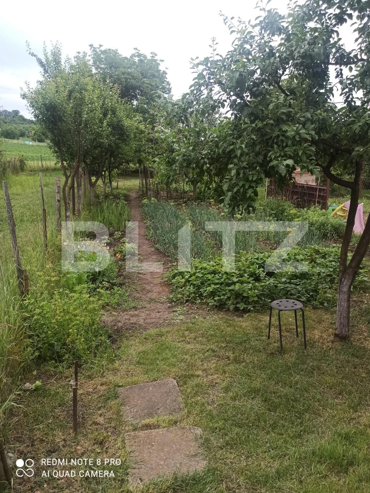 Casa de vânzare 2 camere Remetea - 118828CV | BLITZ Târgu Mureș | Poza2