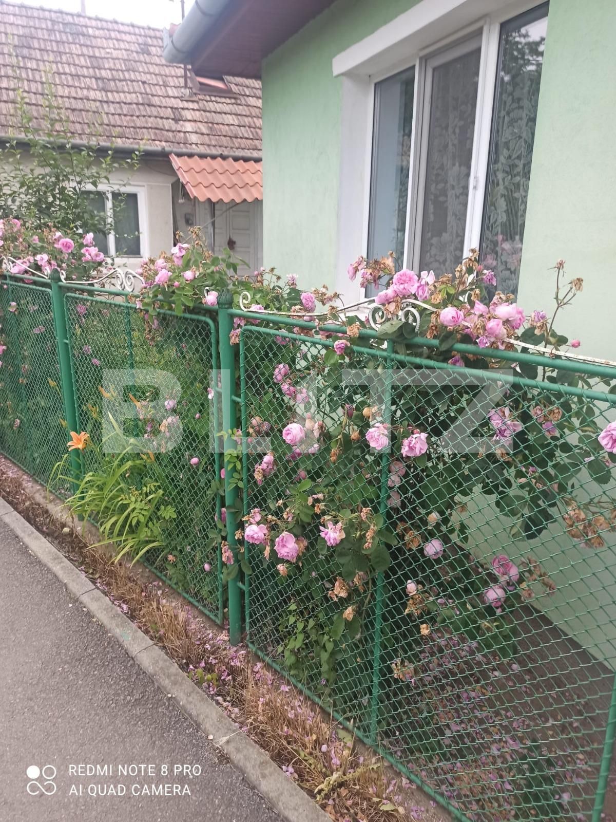 Casa de vânzare 2 camere Remetea - 118828CV | BLITZ Târgu Mureș | Poza12