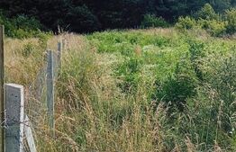 Teren intravilan, zona Corunca, 800mp