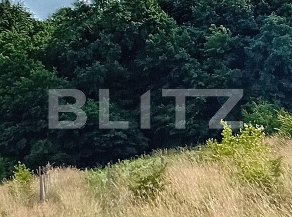 Teren de vânzare Corunca - 119073TV | BLITZ Târgu Mureș | Poza2