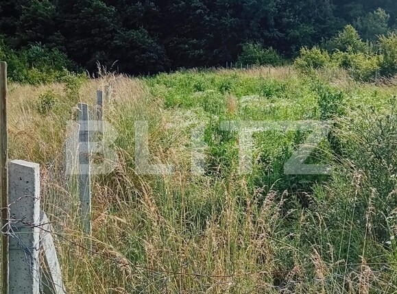 Teren de vânzare Corunca - 119073TV | BLITZ Târgu Mureș | Poza1