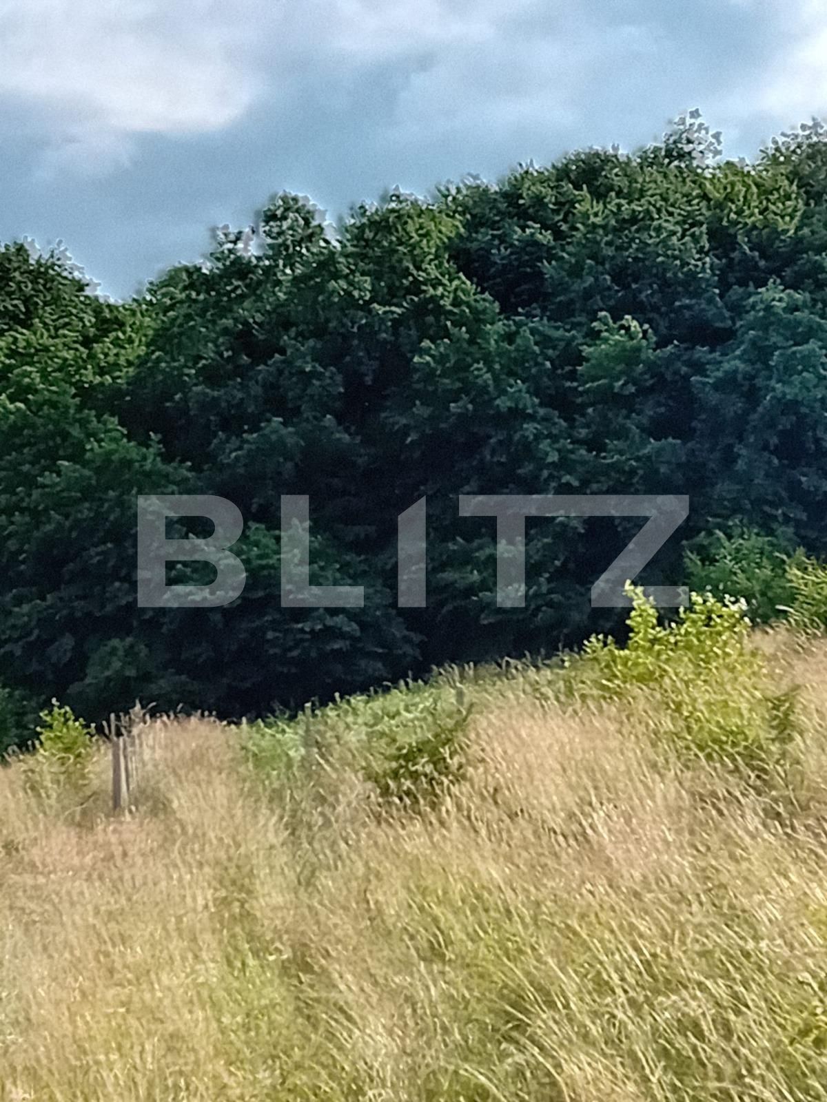 Teren de vânzare Corunca - 119073TV | BLITZ Târgu Mureș | Poza2