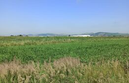 Teren intravilan, 5700 mp, zona Aeroportului