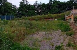 Teren intravilan, 490 mp, Livezeni