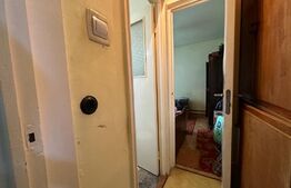 Apartament cu 2 camere, zona Dambu