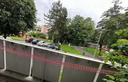 Apartament cu 2 camere, zona Dambu