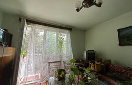 Apartament cu 2 camere, zona Dambu