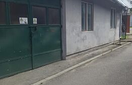 Hala industriala, 5 camere, 1480mp, 22 Decembrie