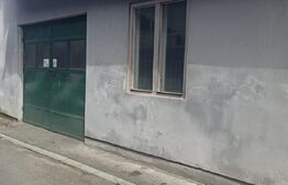 Hala industriala, 5 camere, 1480mp, 22 Decembrie