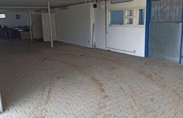 Hala industriala, 5 camere, 895mp, Sangeorgiu de Mures