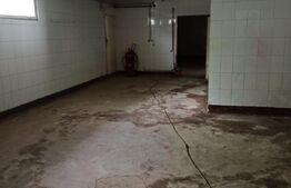 Hala industriala, 5 camere, 895mp, Sangeorgiu de Mures