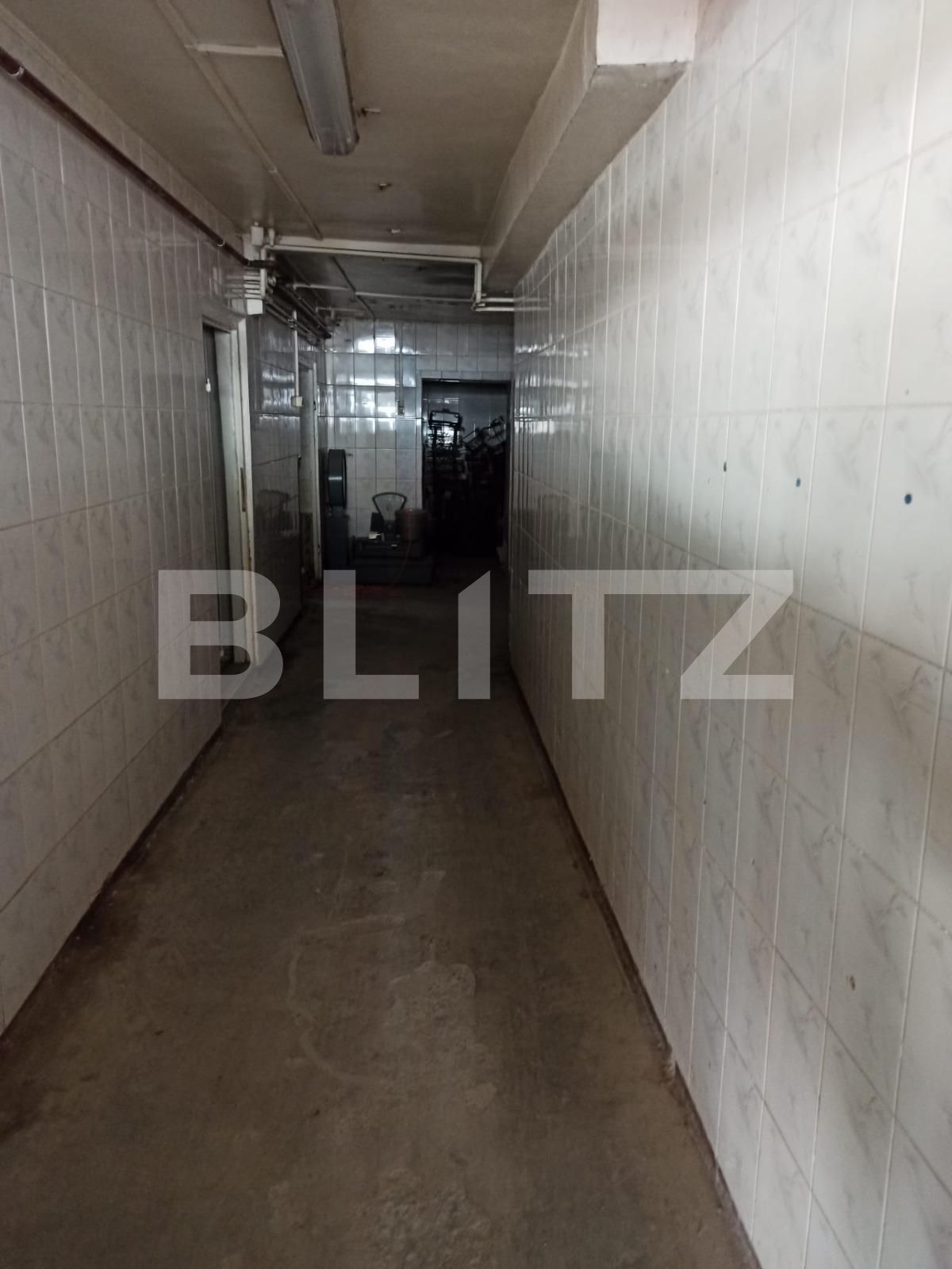 Casa de vânzare 5 camere Sângeorgiu de Mureș - 119500CV | BLITZ Târgu Mureș | Poza7