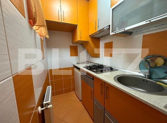 Apartament de vânzare 2 camere Rovinari - 119849AV | BLITZ Târgu Mureș | Poza4