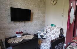 Apartament 2 camere, Tudor