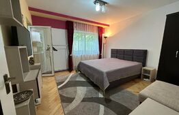 Garsoniera, 24mp, Dambu