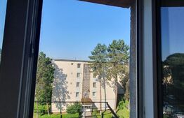 Garsonieră, 13 mp, Mureșeni