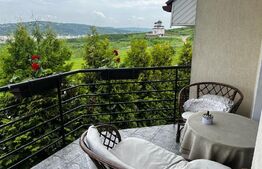 Casa 3 camere, 140mp, 453mp total, zona Belvedere, panorama SUPERBA