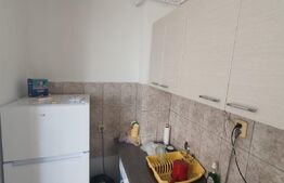 Garsonieră, 30 mp, Tudor