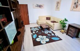 Apartament 2 camere, Tudor