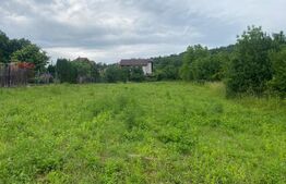 Teren intravilan, 2600 mp,  Bardesti