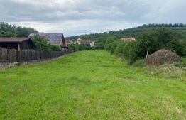 Teren intravilan, 2600 mp,  Bardesti