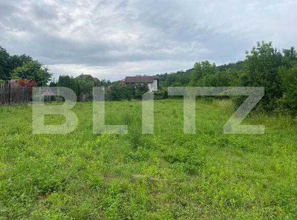 Teren de vânzare Exterior Vest - 120723TV | BLITZ Târgu Mureș | Poza2