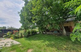 Casa 4 camere, 220mp utili, Nord