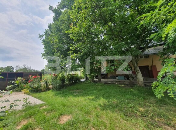 Casa de vânzare 4 camere Nord - 121473CV | BLITZ Târgu Mureș | Poza4